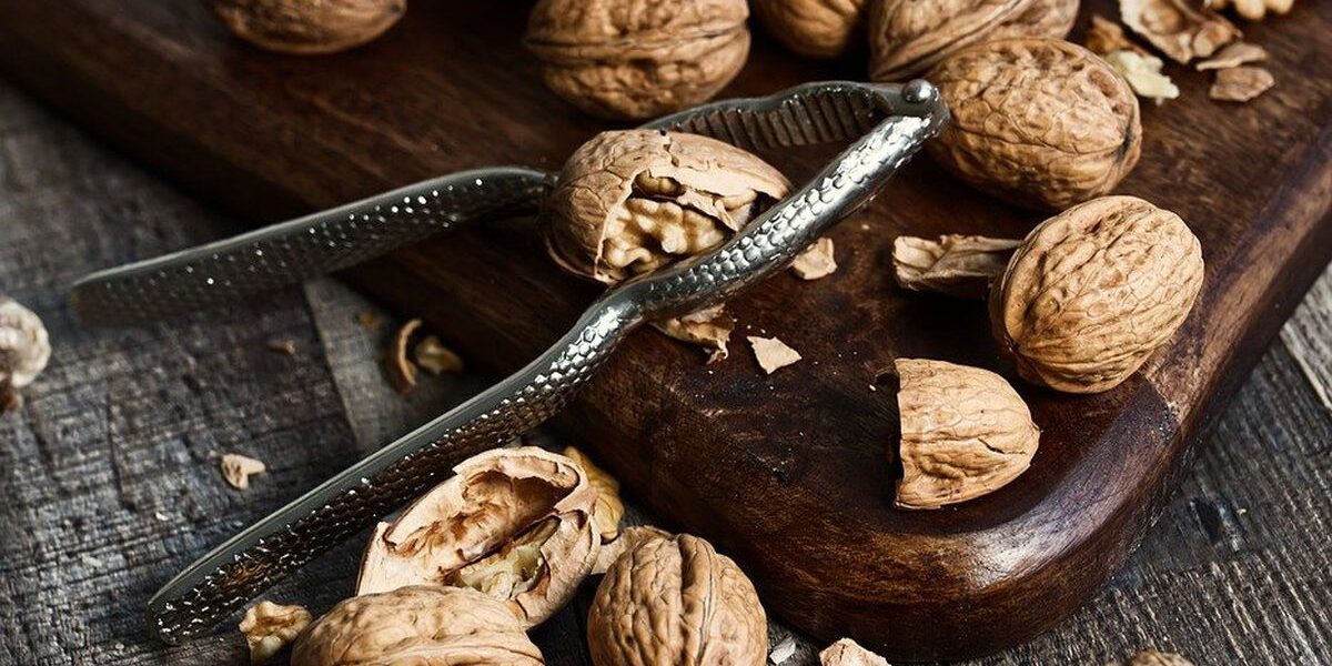 Применение скорлупы грецких орехов в быту: неочевидные лайфхаки