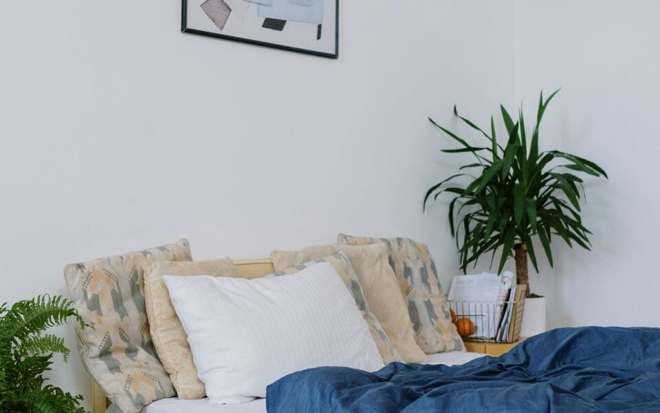 Цветы в спальне: какие растения приносят беду, а какие — уют?