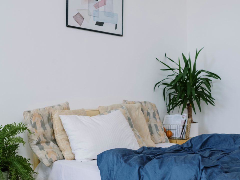 Цветы в спальне: какие растения приносят беду, а какие — уют?