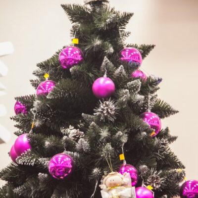 Новогодняя елка дома: секреты долгой свежести и красоты