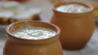 Мацони: польза для здоровья и простые рецепты приготовления