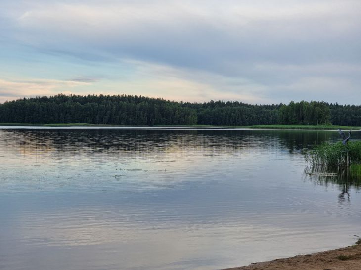 Крупный улов в вашем саду: секреты успешной рыбалки для женщин
