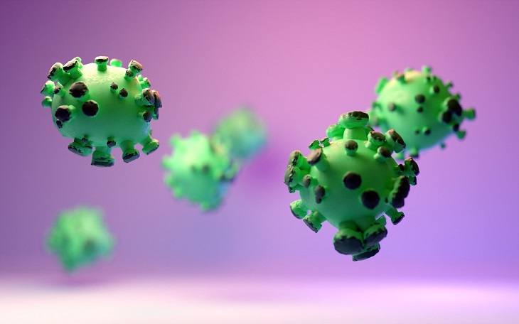 Секреты чистоты: где в доме больше всего микробов и как создать уют без них