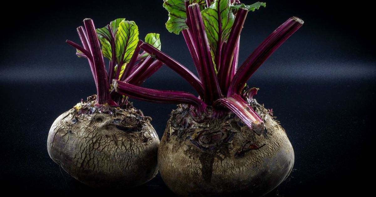 Продукт, который изменит ваше здоровье: секрет для женщин