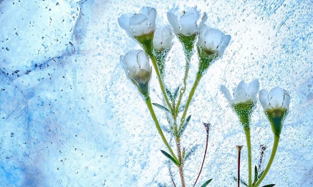 Именины 23 февраля: как поздравить близких и отметить этот день