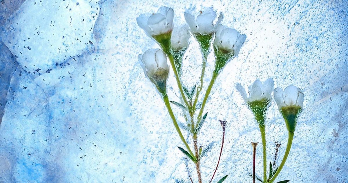 Именины 23 февраля: как поздравить близких и отметить этот день