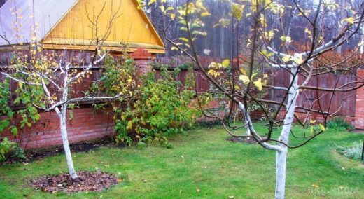 Осенние дела для уюта в доме: что успеть этой осенью