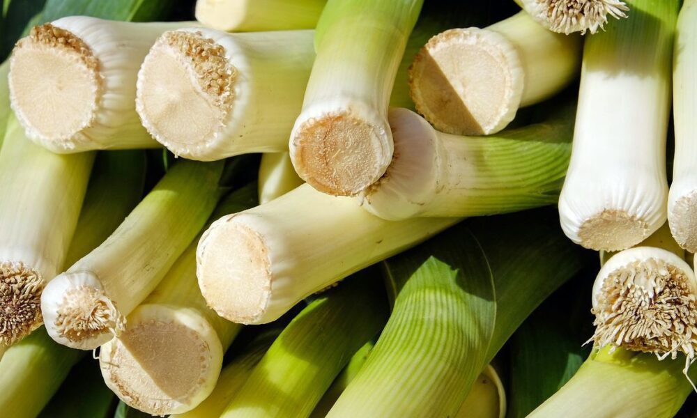 Секреты крупной луковицы-порея: что влияет на размер вашего урожая