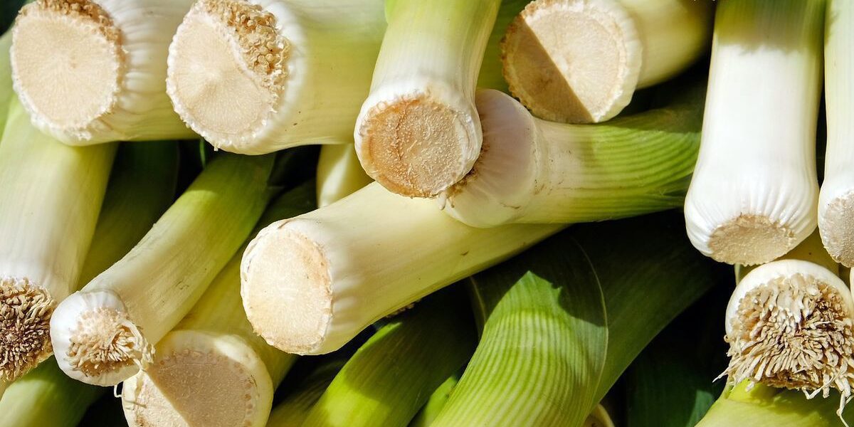 Секреты крупной луковицы-порея: что влияет на размер вашего урожая