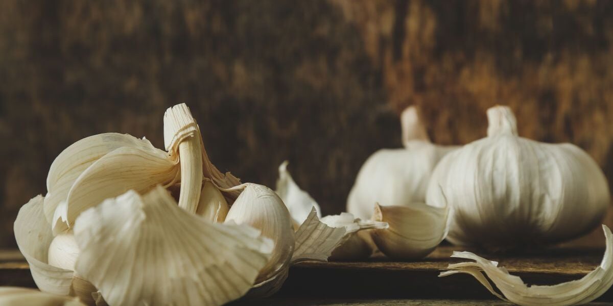 Зачем опытные дачники запасаются чесночной шелухой на зиму: полезные советы