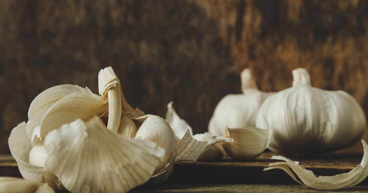 Зачем опытные дачники запасаются чесночной шелухой на зиму: полезные советы