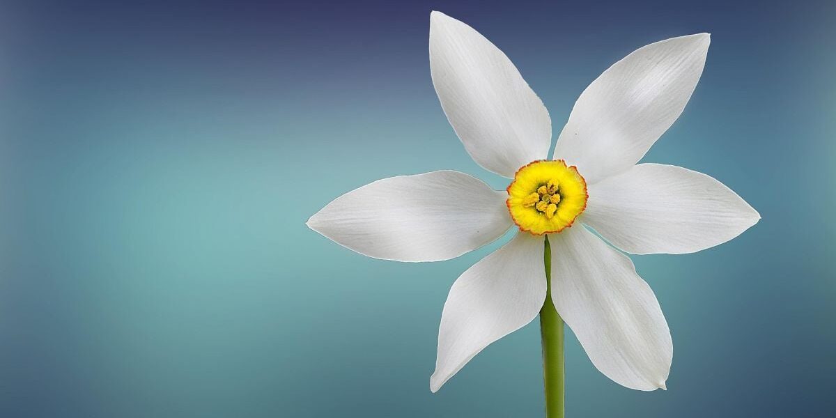 Именины 9 марта: как поздравить и кого чествовать