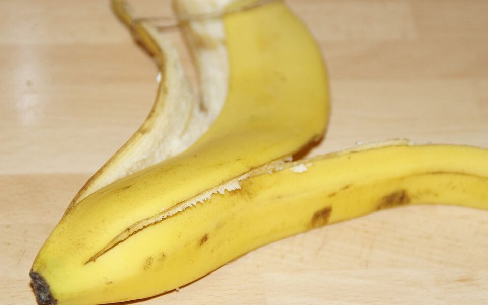 Банановая кожура для рассады: секреты опытных дачников