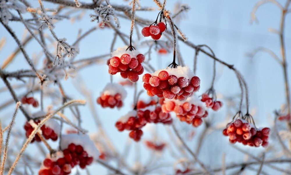 Именины 1 января: встречаем ангелов-хранителей и дарим уютные поздравления