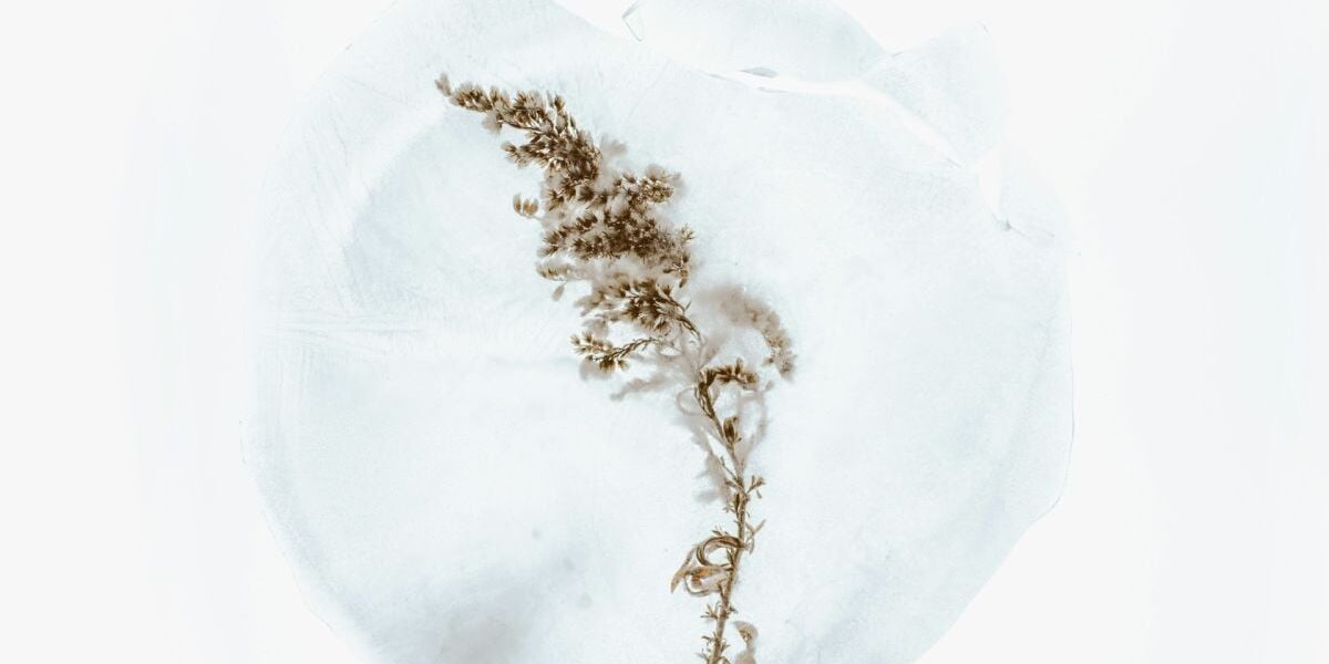 Именины 17 декабря: кого поздравляем и как отметить день ангела