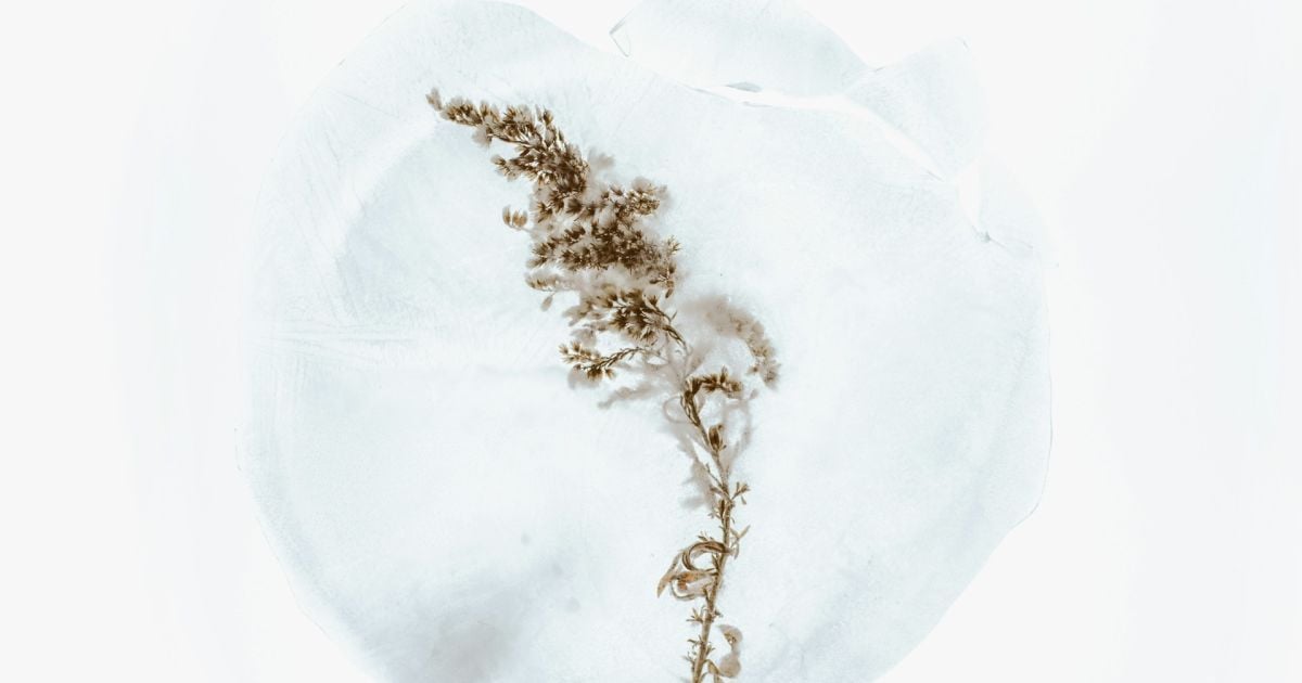 Именины 17 декабря: кого поздравляем и как отметить день ангела