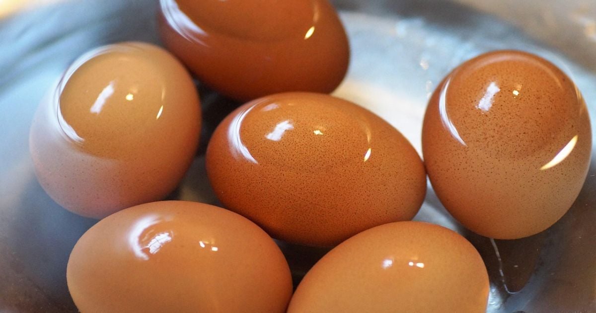 Вода от варки яиц: секреты применения в саду и огороде