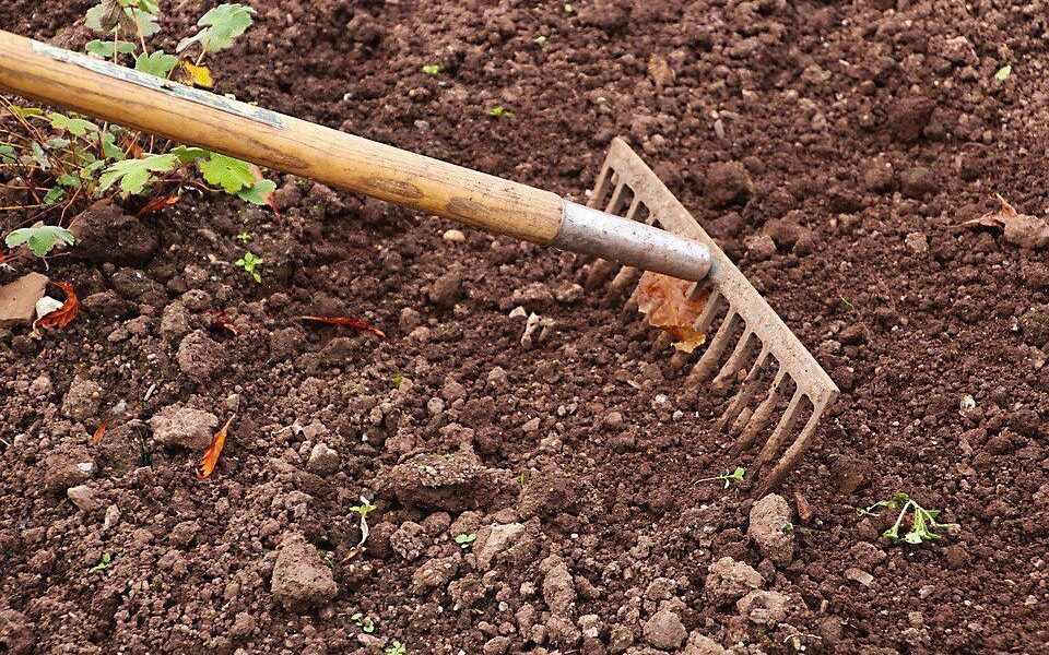 Как подготовить почву для огорода: 3 проверенных секрета