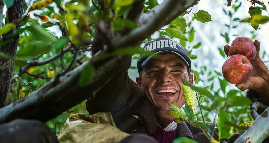 Дачные выходные: секреты пышного урожая для занятых хозяек