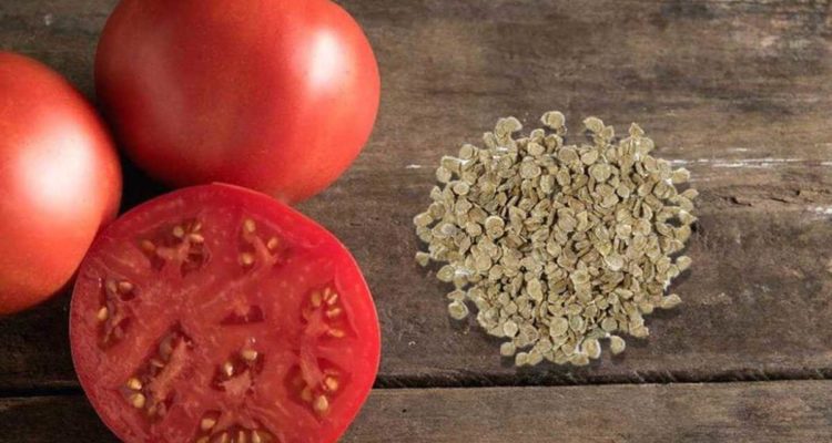 5 продуктов, которые стоит отложить перед употреблением: советы для женского здоровья