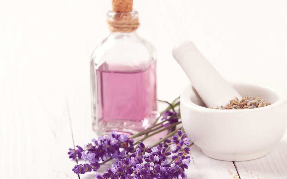 Как звезды защищают кожу от комаров: секреты красоты и природные средства