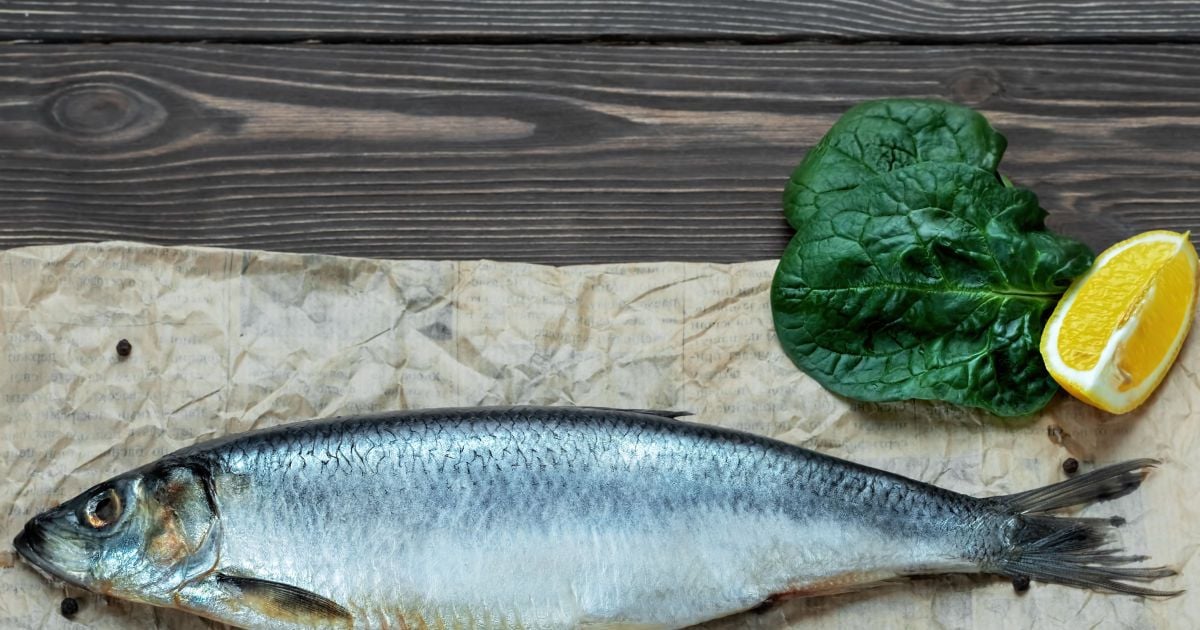 Как выбрать идеальную селедку с икрой для праздничного стола: секреты и советы