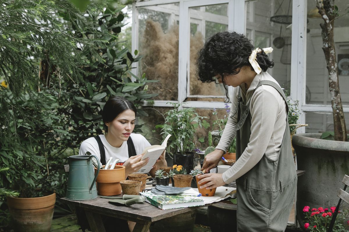 Секреты садоводства: 5 неочевидных преимуществ для каждой хозяйки