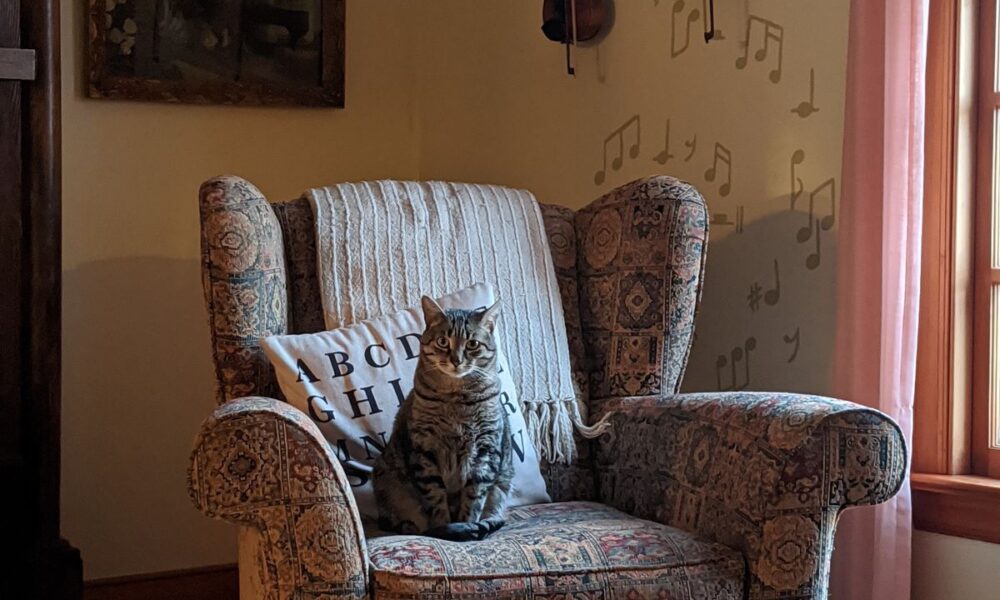 Как обычные вещи дома влияют на ваше настроение: сигналы депрессии, которые стоит заметить