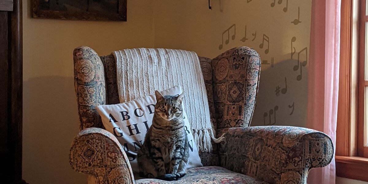 Как обычные вещи дома влияют на ваше настроение: сигналы депрессии, которые стоит заметить