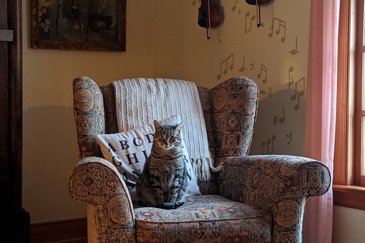 Как обычные вещи дома влияют на ваше настроение: сигналы депрессии, которые стоит заметить