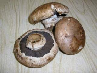 Портобелло: от грибной грядки к кулинарным шедеврам на вашей кухне