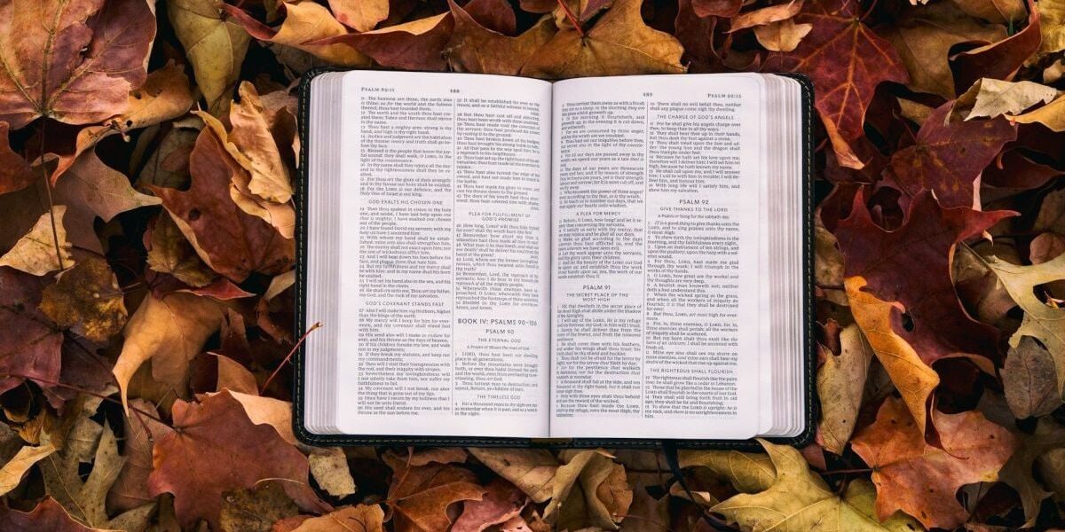 28 февраля: народные традиции и секреты садоводства для вашего дома