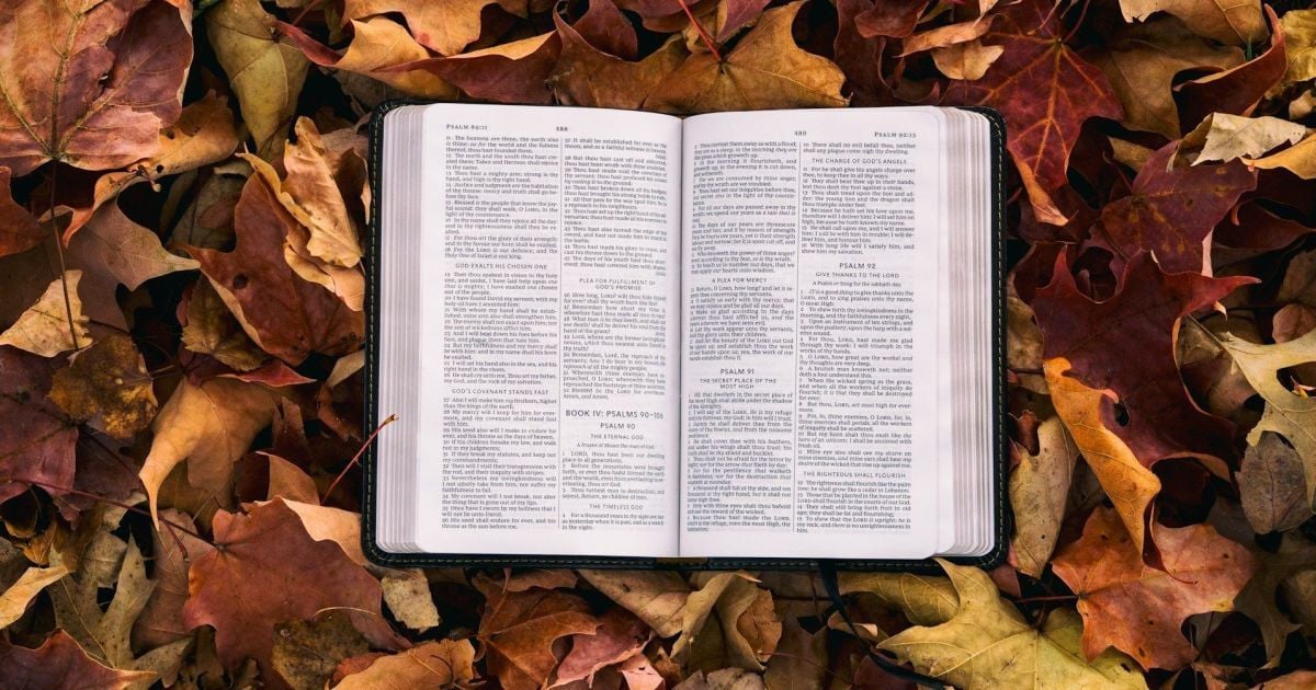 28 февраля: народные традиции и секреты садоводства для вашего дома