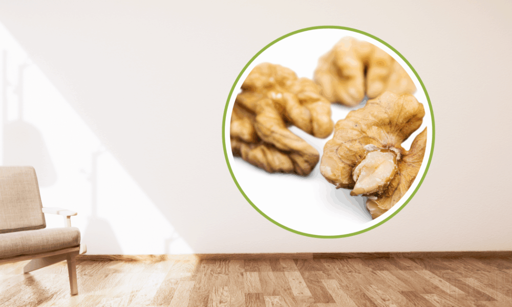 Секрет идеального деревянного пола: почему стоит попробовать грецкий орех.