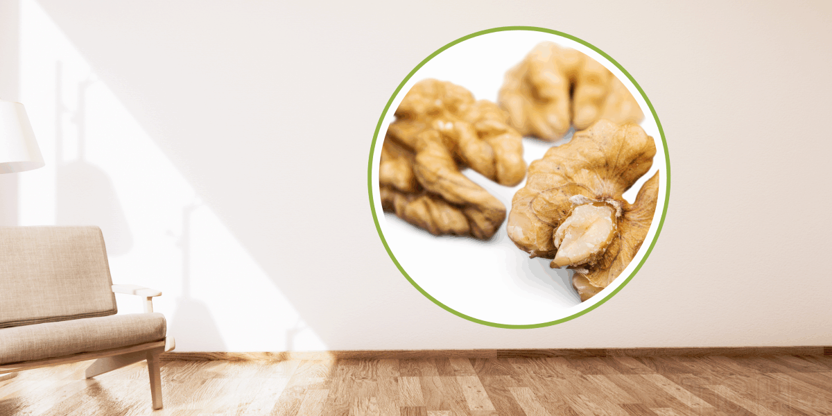 Секрет идеального деревянного пола: почему стоит попробовать грецкий орех.