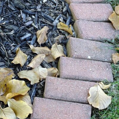 Опасная мульча: 5 видов, которые могут навредить вашему саду