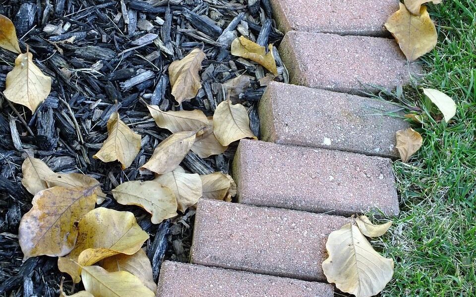 Опасная мульча: 5 видов, которые могут навредить вашему саду