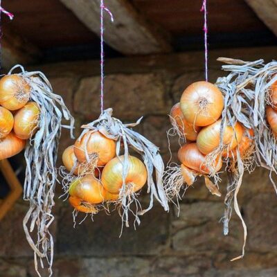 Секреты хранения лука до весны: проверенные бабушкины советы