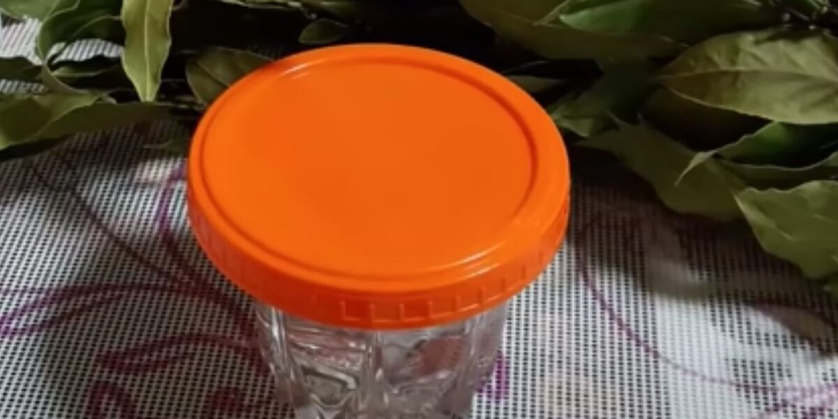 Секреты роскошных волос: как лавровый лист преобразит вашу прическу