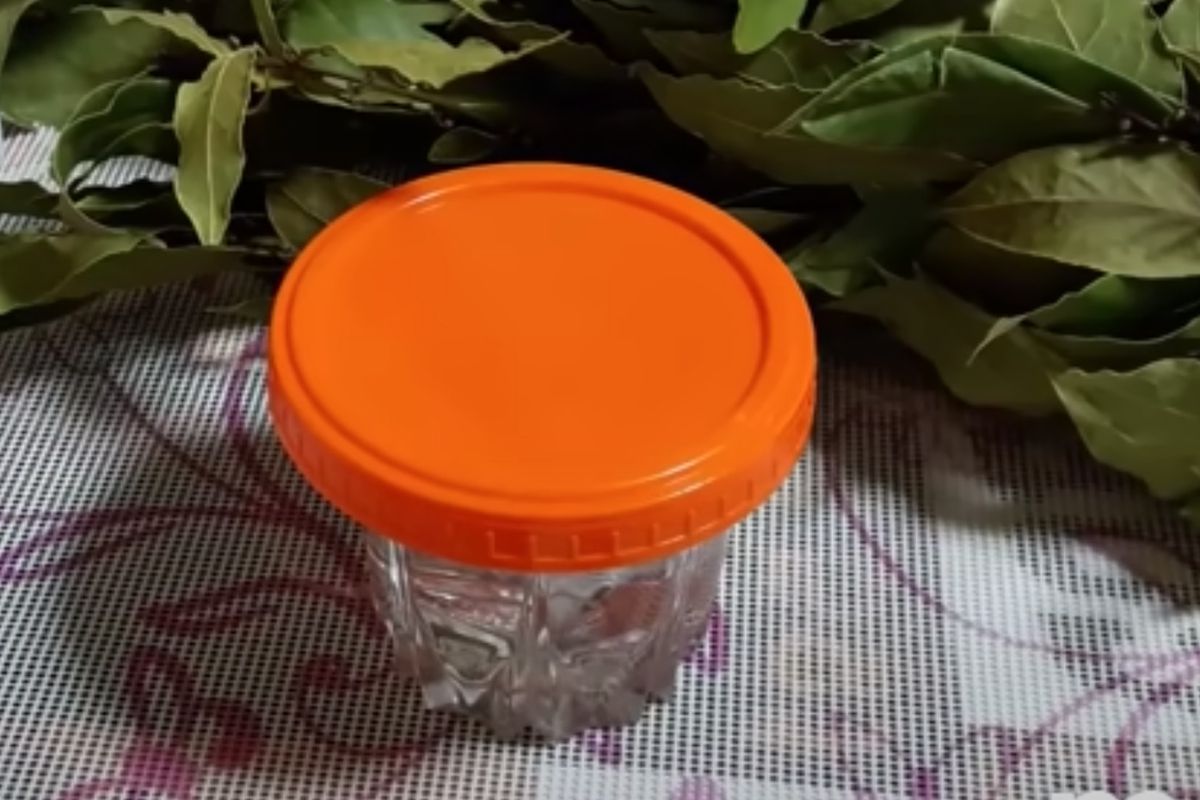 Секреты роскошных волос: как лавровый лист преобразит вашу прическу