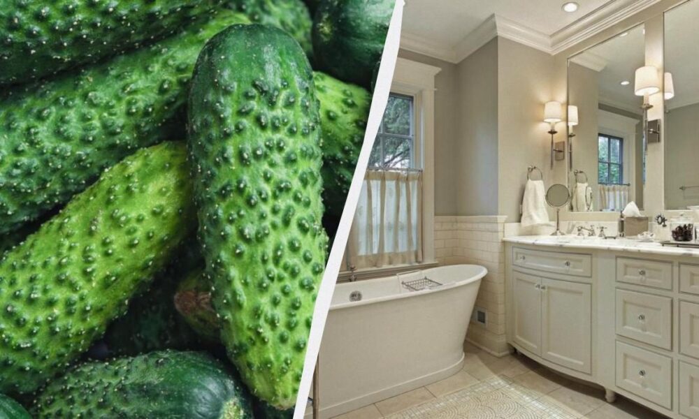 Секреты чистоты и уюта: как огурец преобразит ваш дом