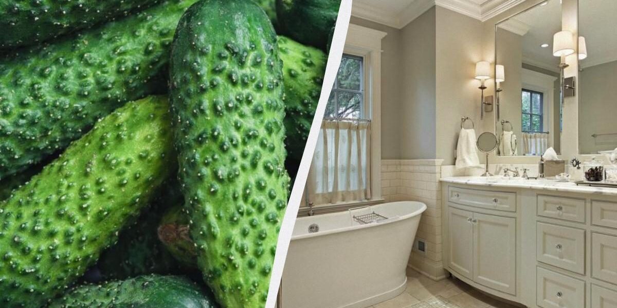 Секреты чистоты и уюта: как огурец преобразит ваш дом