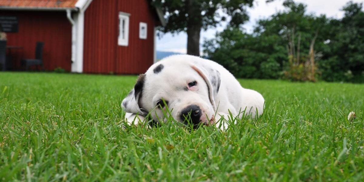 Создаем уют: секреты идеального дома для нее