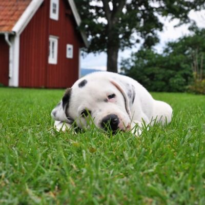 Создаем уют: секреты идеального дома для нее