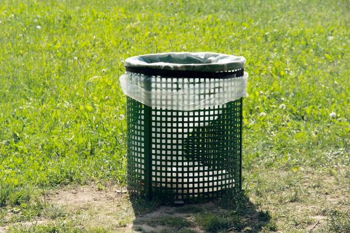 Чистый дом без запахов: секреты свежести на кухне и в саду