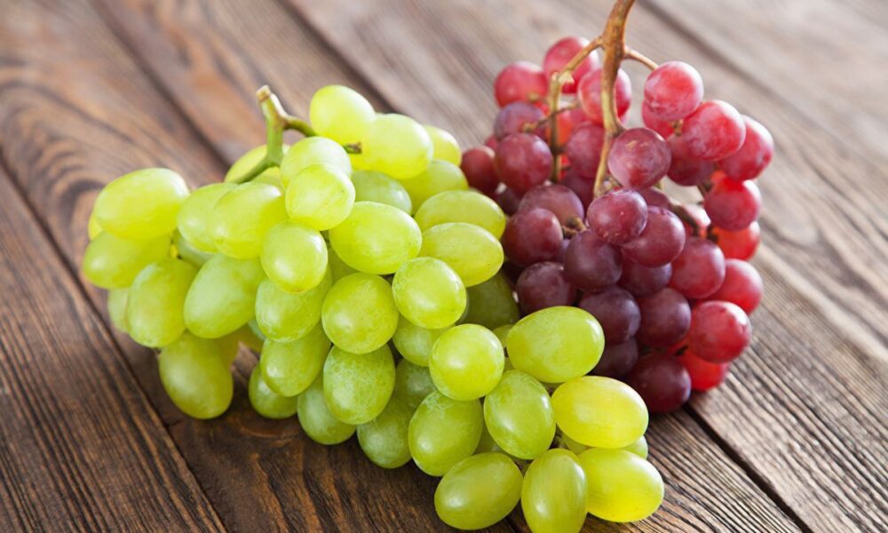Как сделать виноград вкуснее: секреты выбора и выращивания