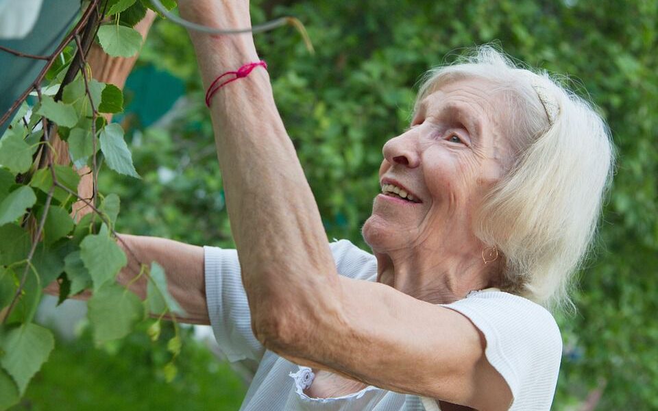Секреты молодости: диеты со всего мира для красоты и долголетия