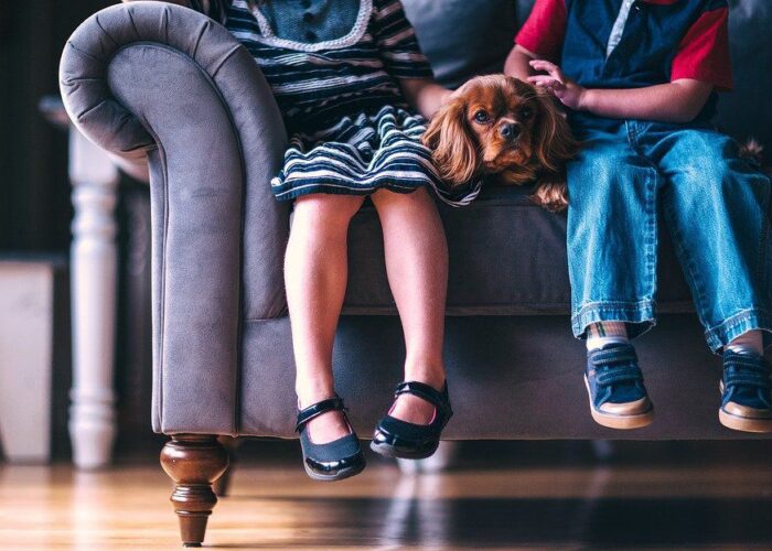 Токсичные отношения в семье: как они вредят детям больше, чем развод, и почему это важно знать каждой женщине