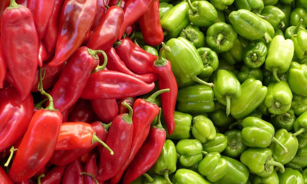Как выбрать идеальный перец для ваших блюд: от острого до сладкого