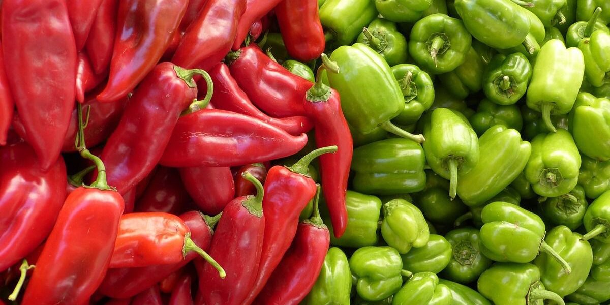 Как выбрать идеальный перец для ваших блюд: от острого до сладкого